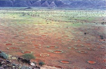 800px-Fairy_circles_namibia