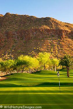 Phoenician-golf-camelback-5