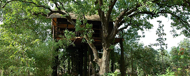 Tree house Hideaway Bandhavgarh National Park - India - Places of  Distinction