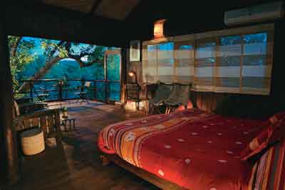 Tree house Hideaway Bandhavgarh National Park - India - Places of  Distinction
