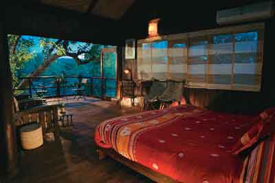 Tree House Hotel in Bandhavgarh