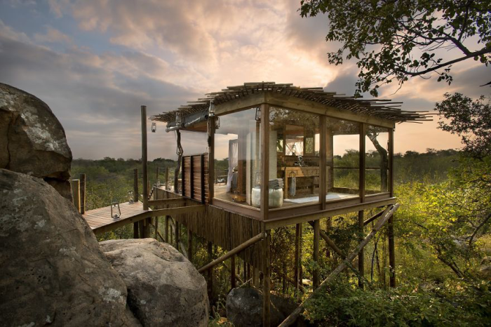 Treehotel-in-South-Africa